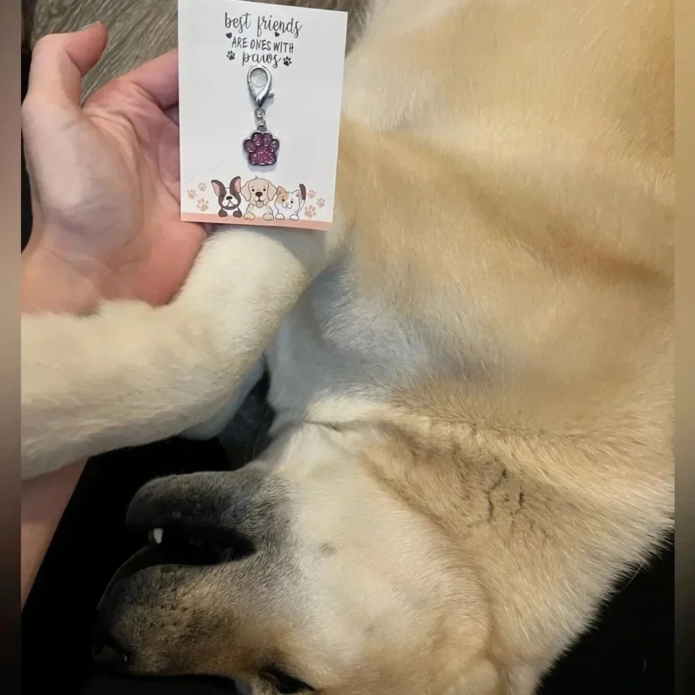 Cute Pink Dog or Cat Paw Charm